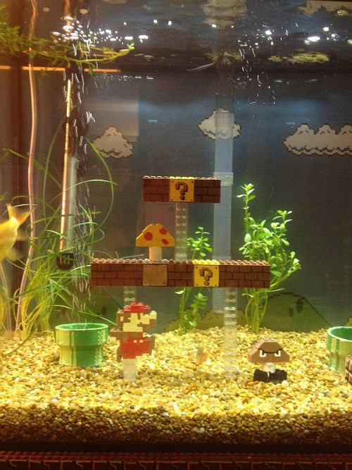 Домашний аквариум в стиле Марио